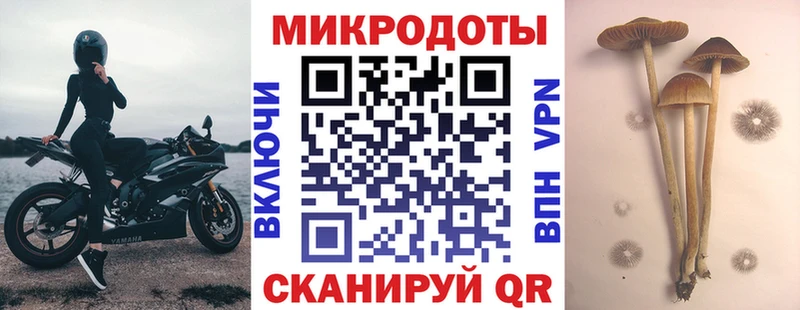 Псилоцибиновые грибы прущие грибы  Купить закладки  Северская 